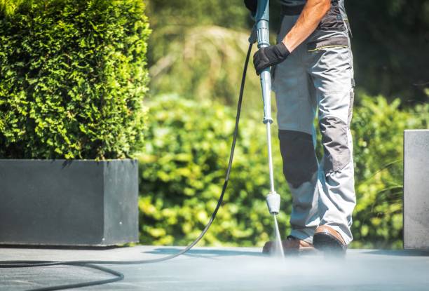 Best Driveway Pressure Washing  in Six Mile Run, NJ